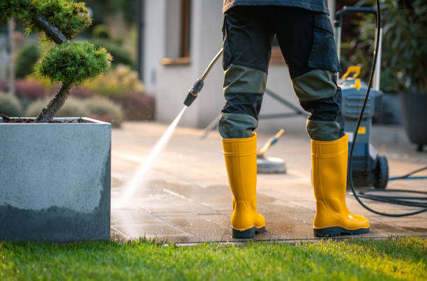 Best House Pressure Washing  in Malta, MT